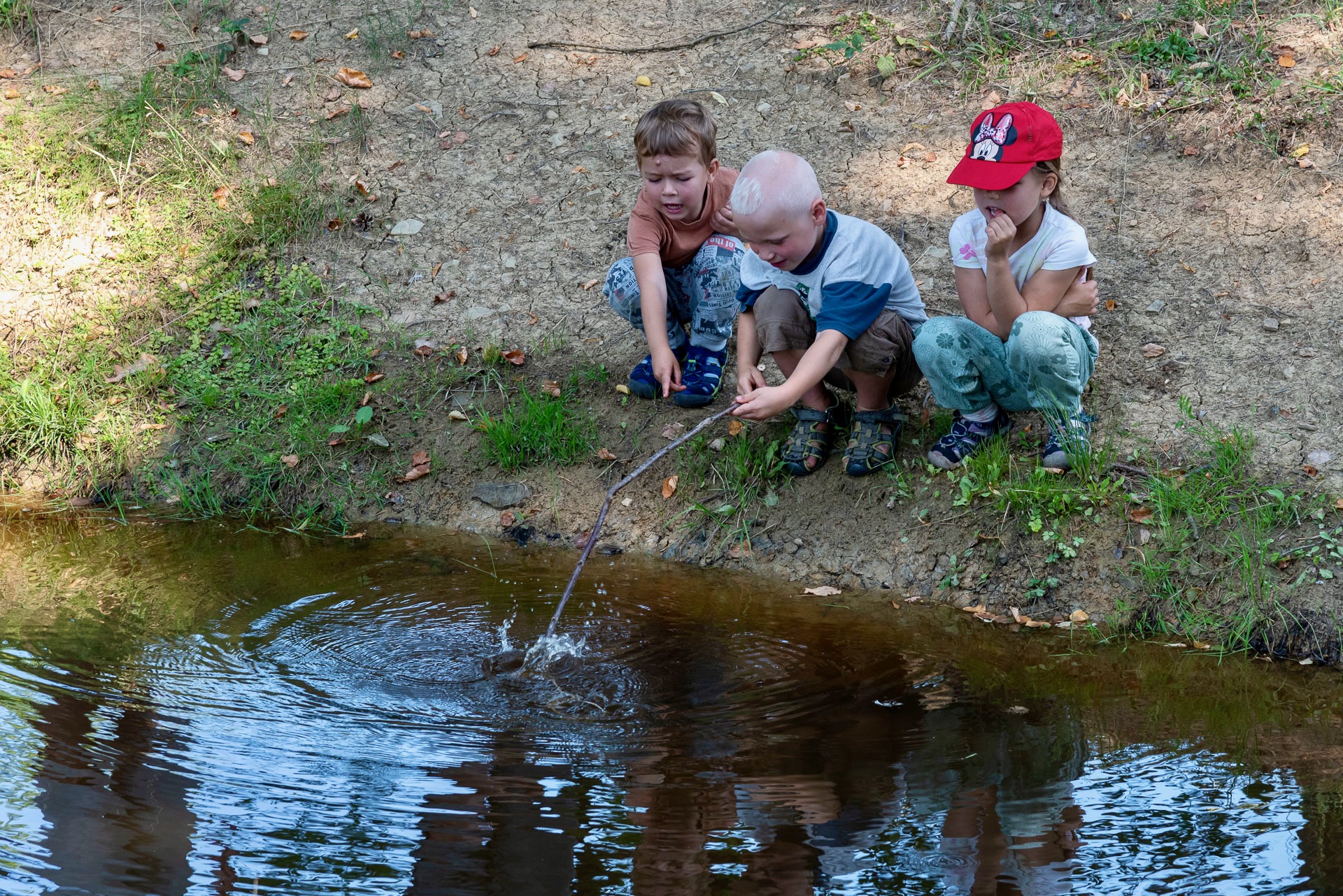 Přednáška o mokřadech