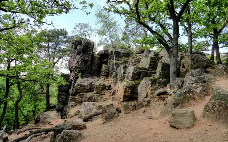 Exkurze za ochranou přírody: Květnice u Tišnova