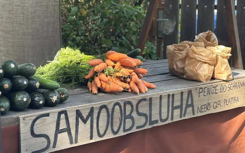 Jaký vliv má moje strava na klima?