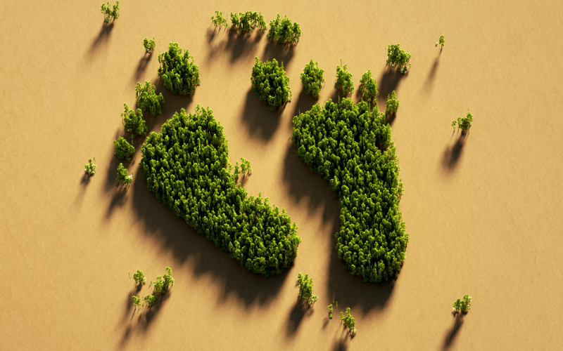 Kde najdu srozumitelné informace o uhlíkové stopě a emisích skleníkových plynů?