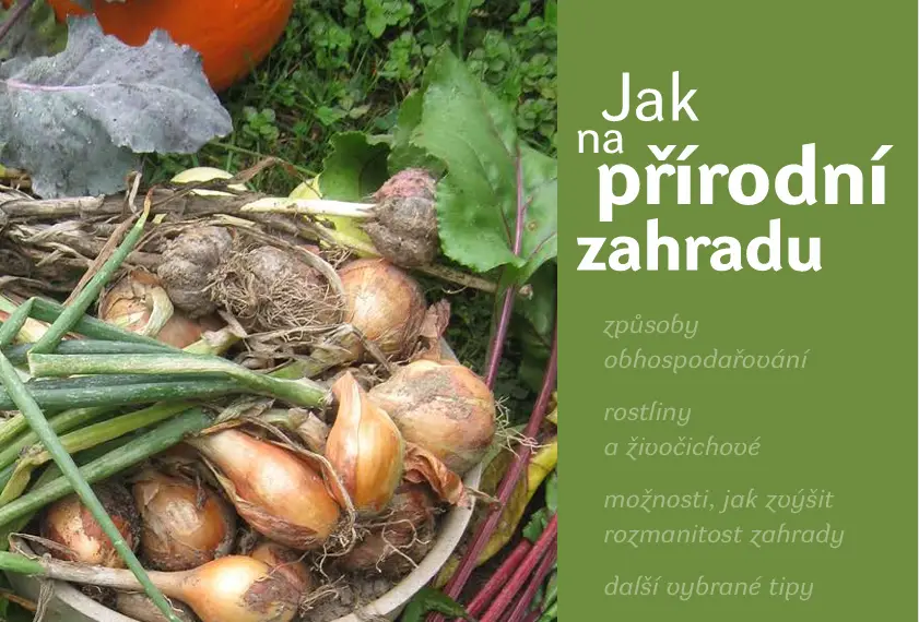 Jak na přírodní zahradu