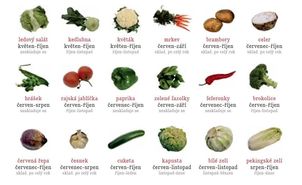 Sezónní kalendář ovoce a zeleniny