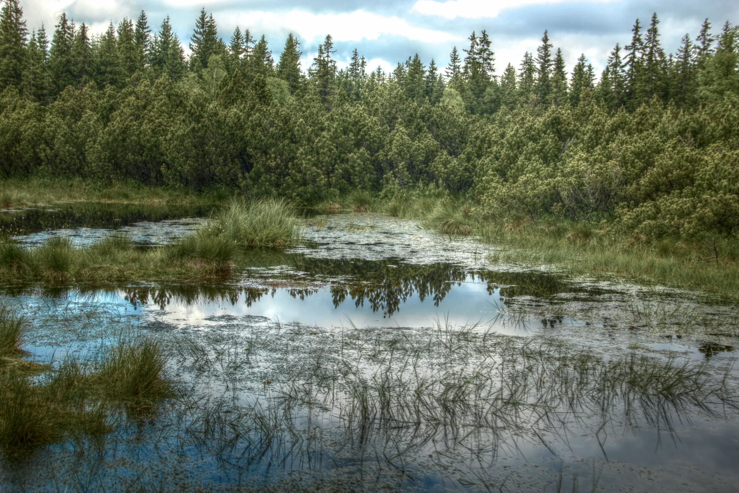 Má smysl chránit a obnovovat mokřady kvůli ochraně klimatu?
