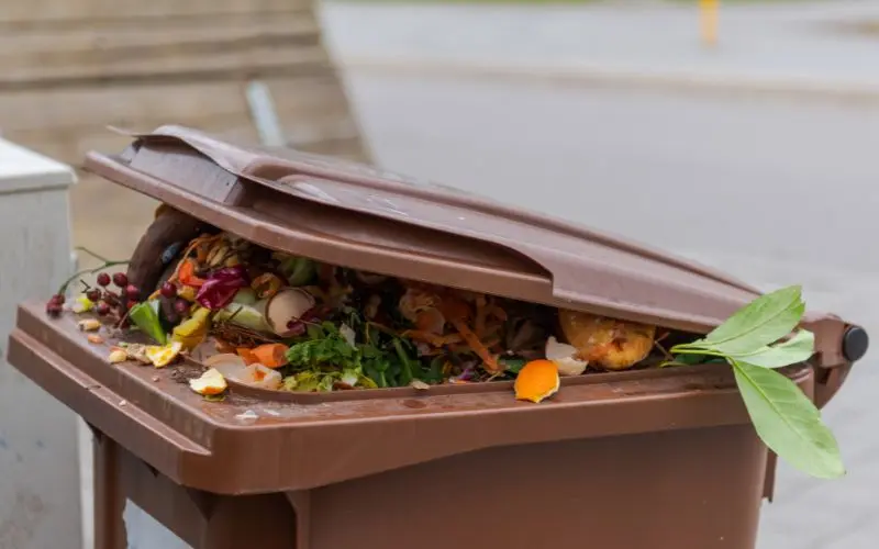 Co se stane, když vyhodím ohryzek?