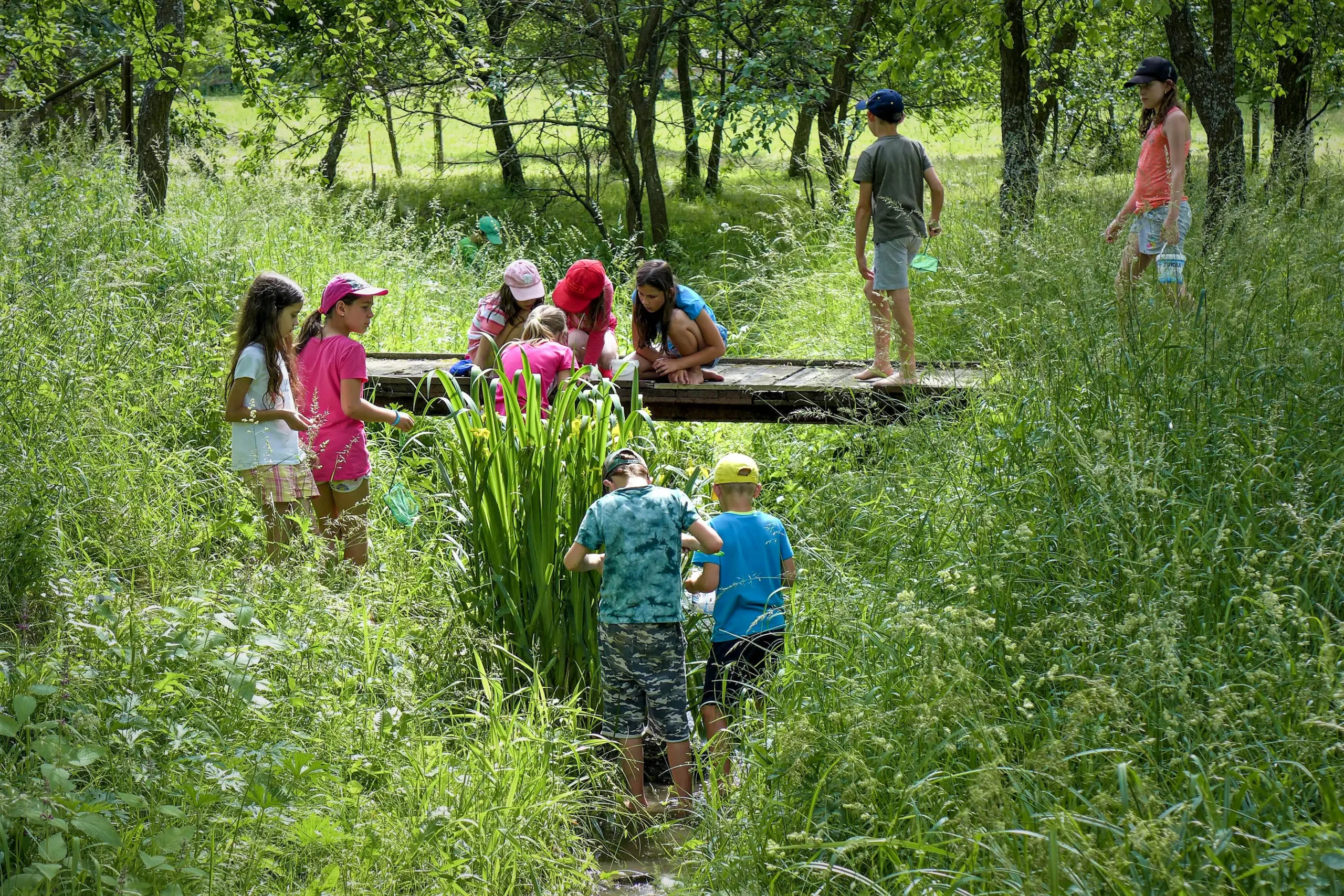 Letní tábory pro rodiče s dětmi