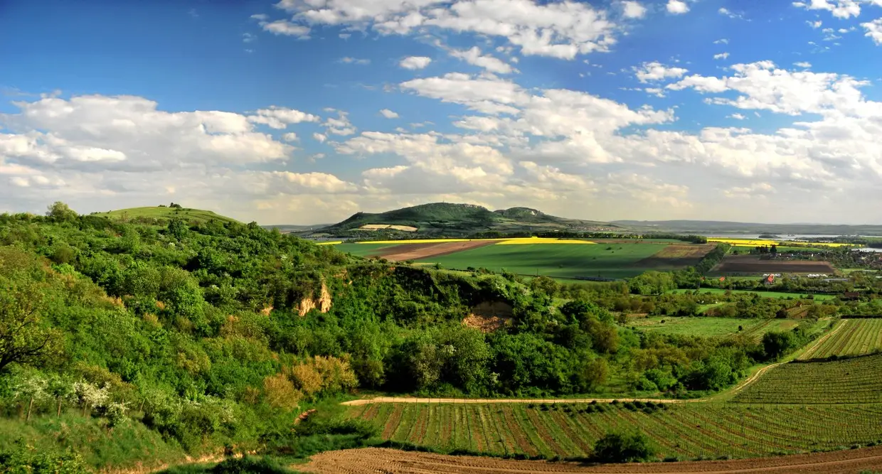 Exkurze na Pouzdřanskou step